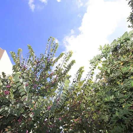 Apart-hotel Ersi 3*